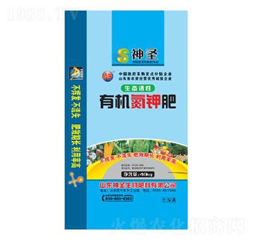 �ЙC��⛷�-��ʥ����