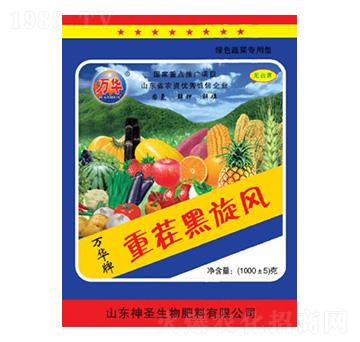 �ز�����L(f��ng)-��ʥ����