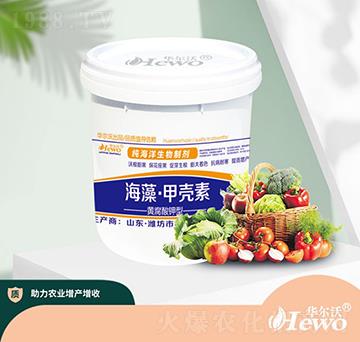 ����ך���-�A����