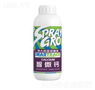 ��΢�}-�����ط�