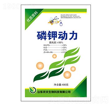 ��⛄���-�r������