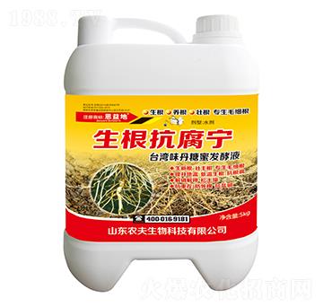 ����������-�����-�r������