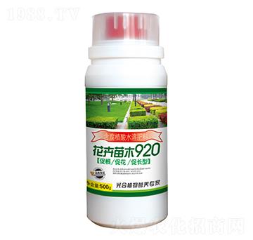 ������ľ920-�r������