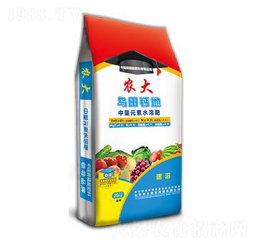 �����{(di��o)�턩ϵ��-�����}��-�r(n��ng)��ʘI(y��)