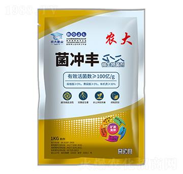 ���������ϵ��-���_�S-�r��ʘI(y��)