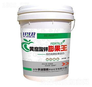 �S����������-�A���s��