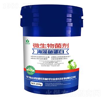 ΢�������-�����~����-�K��ӡ��