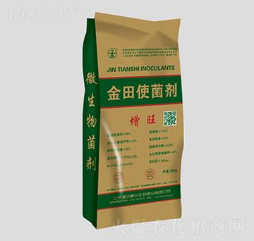 ����ʹ����-����-���d����