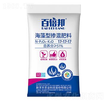 �����͓������17-1