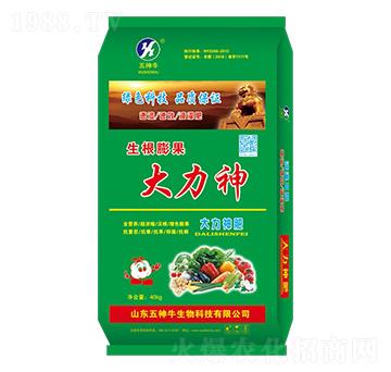 ���������-������-����ţ