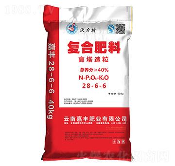 �ͺϷ���28-6-6-������-�f�f