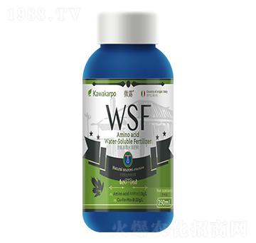 ΢¶-��������ˮ�ܷ���WSF-���컯�r�Y