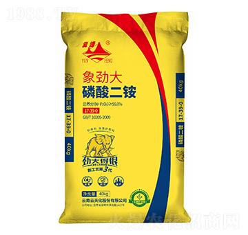 ��Ŵ�������@17-39-0-�Ʒ廯��