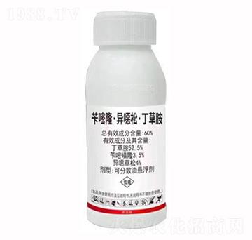 �S��¡�����f�ɡ����ݰ�-���ս�