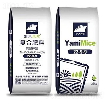 ������͏ͺϷ���22-9-9-�����r�I(y��)