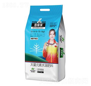 ���ѡ�ƽ�����L(zh��ng)�ʹ���Ԫ��ˮ�ܷ�19-19-19+TE+MgO-��ڱ�