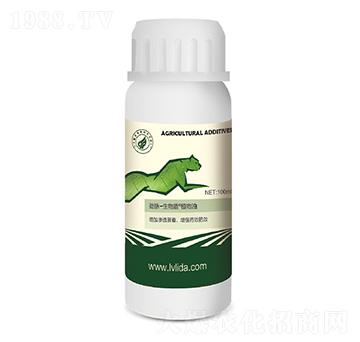 ֲ����-���}�����-�G���_