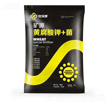 �VԴ�S�����+��-ʩ����