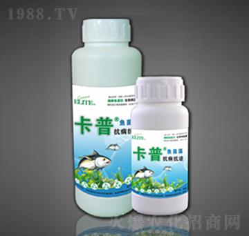 ø���~�����~����-��������-�G�����