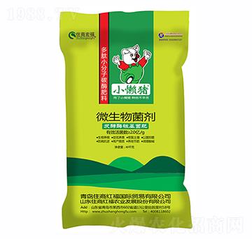 ΢�������-С���i-ס�̇��H