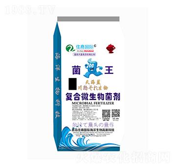 �ͺ�΢�������-����-ס�̇��H