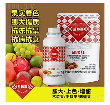 �r�t�ء���+�n���t-���ϲ-ԥ֮��