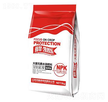 ����ʹ���Ԫ��ˮ�ܷ���12-8-40+TE-�P�՘�-�Ŵ�����