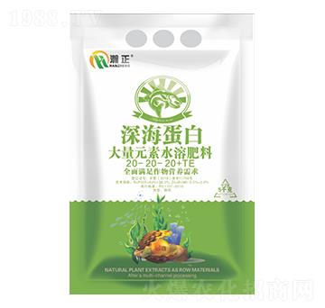 �����20-20-2