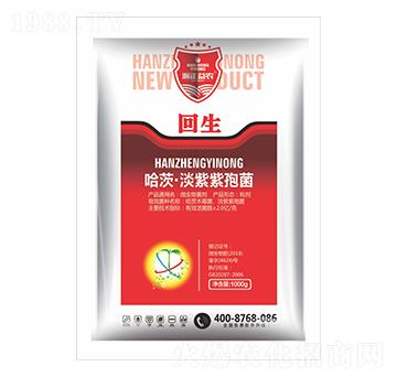 ���ġ��������߾�-����