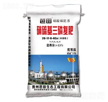 ��������׏�(f��)��26-1