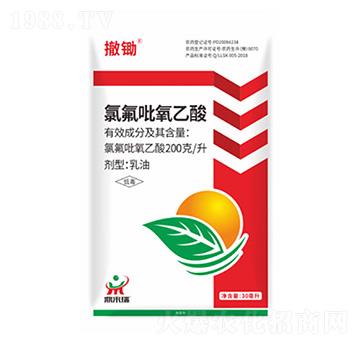 288��/���ȷ��������ᮐ����-���z-������