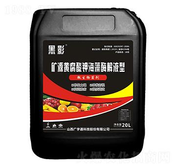 �VԴ�S����⛺���ø��Һ��-��Ӱ-�V��ͨ