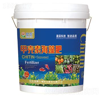 �ך��غ����-��������