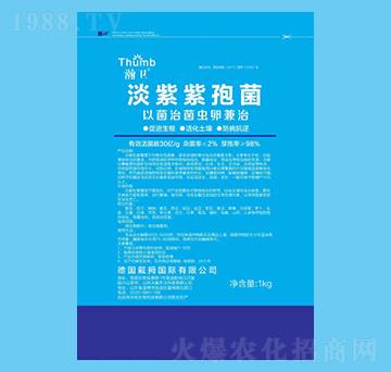 �������߾�-��l(w��i)-����r(n��ng)�I(y��)