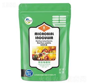 ΢�������-�ݸ�����-ʢ��¡��