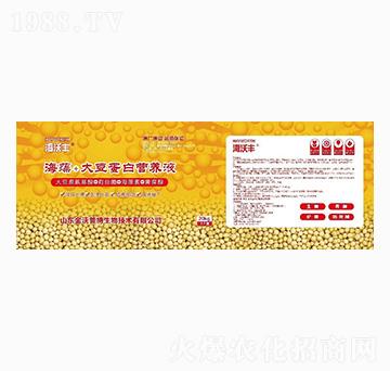 ����+�󶹵��נI(y��ng)�B(y��ng)Һ-�����S-�����_(d��)����