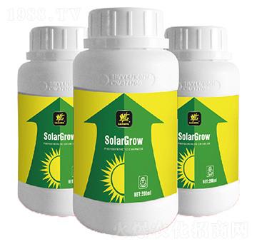 �������(qi��ng)��-�����_(d��)-�����_