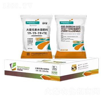 ���������Ч�ʹ���Ԫ��ˮ�ܷ���19-19-19-���B(y��ng)Դ-�����_����