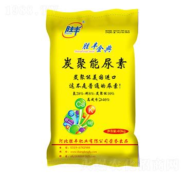 ̿��������-���S���-���S�ʘI(y��)