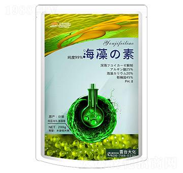 ������-���_��