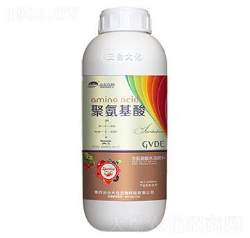 �۰�����-���_��