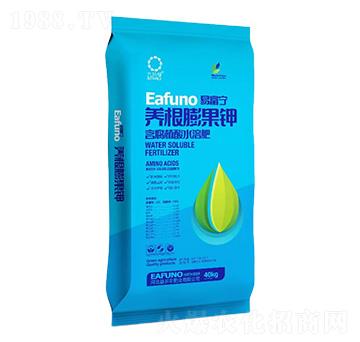 �B(y��ng)������-�׸���-���r�S�ʘI(y��)