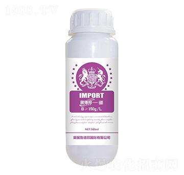 �~�����-���°�