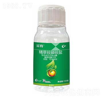 10%�����@�-�׌�-����¡����