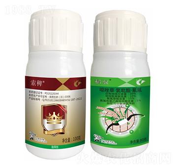 ���޽M��-����¡����