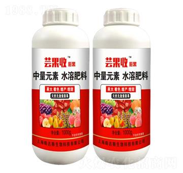 棗樹?；ū９?蕓果收-農(nóng)哥農(nóng)業(yè)