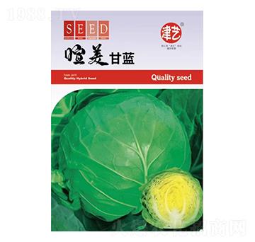 ���{(l��n)�N��-�������{(l��n)-���S�r(n��ng)�I(y��)