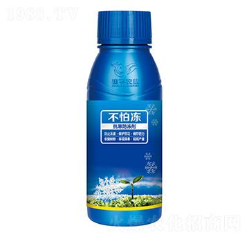 ����������-����-��