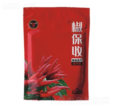 辣椒增產(chǎn)技術(shù)包-椒保收-公牛國(guó)際