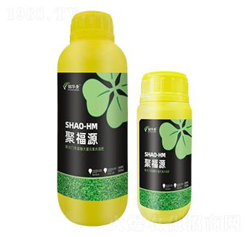 �۸�Դ-���A��